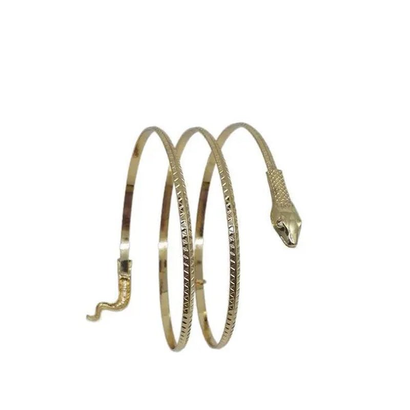 12/8/5/3/2/1Pcs:ashion personality Snake Bracelet, metal snake bracelet, gold and silver available - WORLD TIME VISITS