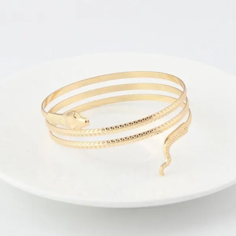 12/8/5/3/2/1Pcs:ashion personality Snake Bracelet, metal snake bracelet, gold and silver available - WORLD TIME VISITS