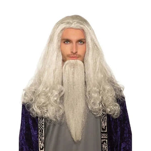 Rubies 657002 Santa Claus Wise Wizard Wig & Beard Set, White - 2 Piece