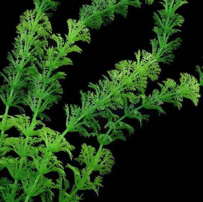Delysia King  Aquarium fish tank decoration aquatic plants artificial green grass